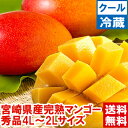 宮崎県産完熟マンゴー2個自然落下まで完熟させた美味しさ♪送料無料 夏 ギフト 宮崎マンゴー フルーツ北海道、沖縄、一部離島は別途1,000円
