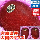 宮崎県産 太陽のタマゴ2個宮崎マンゴーの最高峰!北海道、沖縄、一部離島は別途1,000円