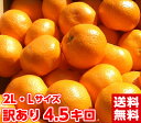 北海道、沖縄・一部離島は発送不可見た目は良くありませんが味は抜群です♪訳あり三ヶ日・浜名湖青島みかん4.5Kg