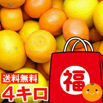 【ふるさと納税】定期便全3回　和歌山の人気の夏のフルーツをお届け！ | フルーツ 果物 くだもの 食品 人気 おすすめ 送料無料 お楽しみ