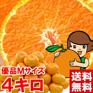 安心の光センサー選果!中袋が薄く柔らか〜い品種です♪三ヶ日みかん(早生) 優品Mサイズ4kg北海道、沖縄・一部離島は発送不可