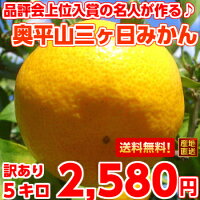 三ヶ日(みっかび)みかん 入手困難!三ヶ日奥平山みかん