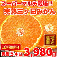 三ヶ日(みっかび)みかん スーパーマルチ！完熟三ヶ日みかん