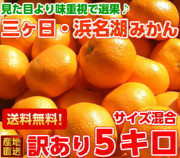 送料無料 三ヶ日みかん みかん 訳あり見た目は良くありませんが味は抜群です♪訳あり三ヶ日・浜名湖みかん5Kg【北海道・沖縄・一部離島は別途800円】