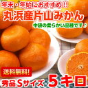 中袋の柔らか〜い品種です♪丸浜産片山みかん 秀品Sサイズ5k...