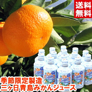 季節限定製造 三ヶ日青島みかんジュース1缶に5個分の果汁を入