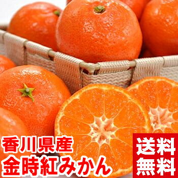 香川県産 小原紅早生 金時紅みかん 秀品入手困難な激レア品種！お歳暮 ギフト 金時紅みかん 小原紅早生北海道、沖縄・一部離島は発送不可