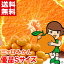 三ヶ日みかん(早生)優品Sサイズ安心の光センサー選果!中袋が柔らかく旨味が凝縮された♪お歳暮 ギフト みかん 三ヶ日みかん北海道、沖縄・一部離島は発送不可 2,580円