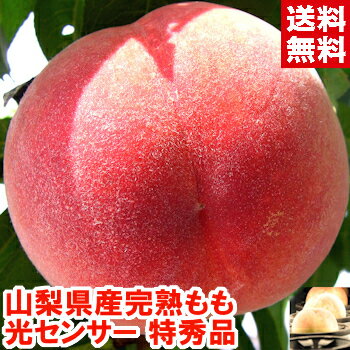 桃 山梨県産完熟もも 特秀品（化粧箱入り）グルメ大賞「桃部門」通算6度受賞!!ハイテク光センサーで僅かしか合格しない糖度13度保障のプレミアム特秀品厳選！お中元 送料無料 夏 ギフト 桃 フルーツ北海道、沖縄、一部離島は別途1,000円