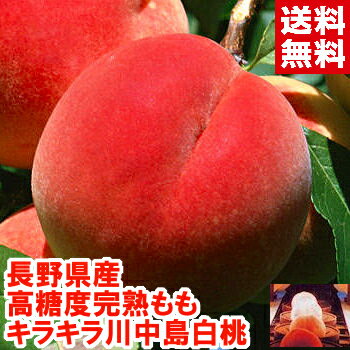 長野県産 大玉川中島白桃1.7kg糖度13.5度以上保障！！光センサー選果・最高等級「キラキラ」もも 桃 光センサー選果北海道、沖縄、一部離島は別途1,000円のサムネイル