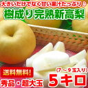 送料無料 新高梨 梨 フルーツギフトまさに笑激の大きさ!!し...