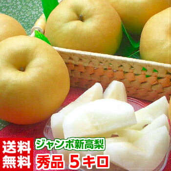 樹成り完熟新高梨たっぷり5kgまさに笑激の大きさ!!しかも大きいだけでなく甘い果汁たっぷり♪糖度13度以上を厳選！北海道、沖縄・一部離島は発送不可のサムネイル