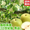 鳥取県産 20世紀梨 秀品安心の光センサー選果!昔ながらの美味しさ♪シャリシャリとした食感と酸味のあるみずみずしい果汁たっぷり♪北海道、沖縄、一部離島は別途1,000円