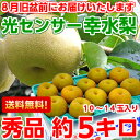 お中元 送料無料 幸水梨 フルーツギフトたっぷり食べれる箱買...