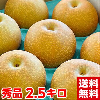 相場下落につき緊急値下げ！安心の光センサー選果新高×豊水×幸水から生まれたみずみずしく食味が優れる赤梨の新品種サラブレット完熟梨「あきづき」秀品2.5kg北海道、沖縄・一部離島は発送不可