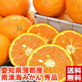 愛知県蒲郡産 ハウス南津海（なつみ）秀品4kg約一年かけて作