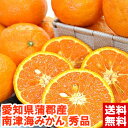 愛知県蒲郡産 ハウス南津海（なつみ）秀品4kg約一年かけて作られる今年最後のみかんカラマンダリンとポンカンの交配種♪北海道 沖縄 一部離島は発送不可