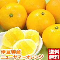 伊豆特産ニューサマーオレンジ 赤秀白い綿の部分が食べれる不思議柑橘！夏の訪れを...