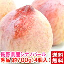 長野県県産 シナノパール プラム 秀品 約700g(4個入)一度食べれば忘れられなくなる程の美味しさ♪種も小さく可食部が多いの特徴です。ギフト シナノパール プラム北海道、沖縄、一部離島は別途1,000円