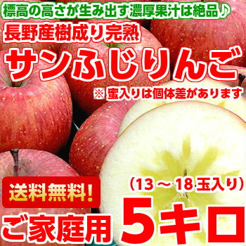 見た目を気にしなければお買い得♪長野産樹成り完熟サンふじりんご5kg【北海道、沖縄、一部離島は別途800円】