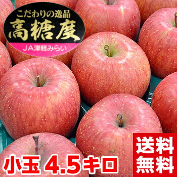 北海道・沖縄・一部離島は発送不可糖度・内部品質センサー測定済み入手困難な糖度14度以上厳選!青森産高糖度サンふじりんご小玉4.5kg