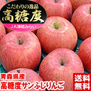 糖度 内部品質センサー測定済み糖度13.5度以上厳選！青森県産高糖度サンふじりんご北海道 沖縄 一部離島は発送不可