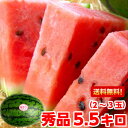 スイカ 姫まくら 送料無料冷蔵庫に丸々入る食べ切りサイズ皮の...