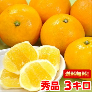 白い綿の部分が食べれる不思議柑橘!夏の訪れを告げる風物詩♪伊豆特産ニューサマーオレンジ3kg北海道、沖縄・離島は発送不可