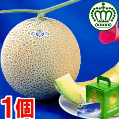 https://thumbnail.image.rakuten.co.jp/@0_mall/muskmelon/cabinet/titi/f22-5.gif