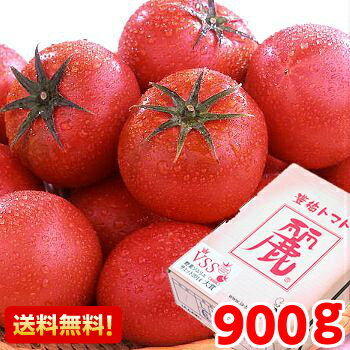 愛知県産 高糖度完熟トマト「麗」 秀品 約900g野菜ソムリエサミット 食味評価大賞受賞北海道、沖縄・一部離島は発送不可