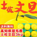 高知県宿毛産 光センサー土佐文旦濃厚な甘さと爽やかな酸味が絶品♪土佐文旦 文旦 高知県 宿毛 光センサー選果北海道、沖縄・一部離島は発送不可