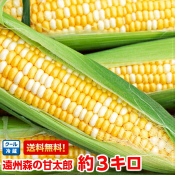 【冷凍】玉米棒 2本入 冷凍モチとうもろこし コクあり 非真空 2種類あり 中華食材 トウモロコシ