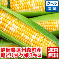 静岡県森町産 朝どりとうもろこし 甘々娘3kg鮮度保持のため冷蔵便でお届けいたしま...