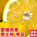 愛媛県産 美生柑 秀品やっぱり国産は味と香りが違う♪和製グレープフルーツと呼ばれる柑橘北海道、沖縄、一部離島は別途1,000円