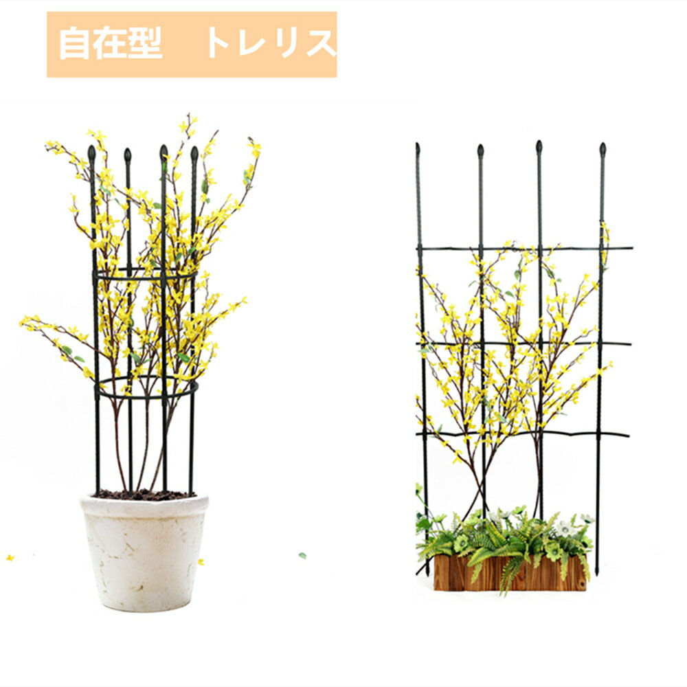 つる性植物 薔薇 トレリス ローズトレリス 送料無料 沖縄 1 離島を除く バラ用 オベリスク 熱い販売 アイアン ガーデン 支柱 花支え つるバラ 庭 ガーデニング 金属製 園芸 園芸植物登山トレリス 簡易組立式 つる花 植物サポート 耐候性 操作簡単 ばら 高さ調節可能