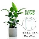 【6個入】 植物支柱 花ささえ つる性植物 送料無料 観葉支柱パックガー ガーデニング用支柱 花支え 農業用 園芸用 20cmx35cm