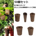 【50個セット】 水耕栽培 スポンジ 水耕栽培キット用 ウレタン培地 スポンジ培地 有機 植えるスポンジ 栽培キット 水耕スポンジ水耕栽培キット 50個入り 種...