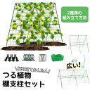 棚支柱セット つる植物棚支柱セット 組み立てかんたん 2種類設置方法 設置サイズ 棚 支柱 キュウリ ゴーヤ 園芸支柱 園芸用支柱 栽培棚 つる性植物 きゅうり棚 ネット 園芸 つる 植物 ジョイント ガーデニング 家庭菜園 棚支柱セット 送料無料