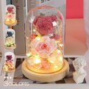 バラ クマ ライト 枯れない花 ガラスドーム ローズ 薔薇 送料無料 おしゃれ 置物 飾り 造花 電池式 光るバラ 母 彼女 妻 誕生日 記念日 結婚式 お祝い...