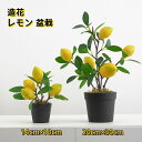 レモン 盆栽 造花 鉢植え 枯れない花 人工観葉植物 果物 造花の置物 本物そっくり 飾り 撮影用小物 ギフト 贈り物 開店祝い 誕生日 お見舞い 感謝 お礼 ...
