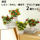 【2個セット】盆栽 造花 レモン みかん 唐辛子 アロニア 鉢植え 枯れない花 人工観葉植物 フェイクグリーン 果物 造花の置物 可愛い おしゃれ リアル イン...