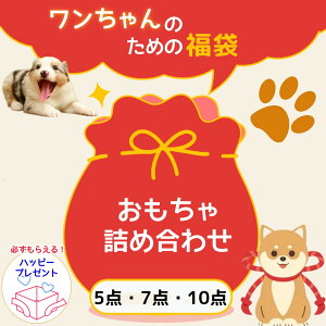 【2024福袋】犬が喜ぶおもちゃ！人気ペットグッズのおすすめは？