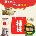 【2025 福袋】猫 福袋 猫おもちゃ セット ネコ用 福袋 5点 7点 10点 送料無料 ぬいぐるみ おもちゃの詰め合わせ マット クッション ブラシ ボール...