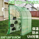 大型 ビニールハウス カバー付き 220*120*215CM ビニール温室 光合成 UV対策 保温 防水 換気 四季使える 温室 格子状 補強糸入り グリーンカ...