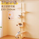 天然木製 キャットタワー 猫タワー スリム 突っ張り 高さ230cm~260cm 高さ調整可能 多頭飼い 宇宙船付き 高級感 安定感 キャットツリー 登りやすい 木登りタワー ネコタワー 上り下りしやすい 爪とぎポール 木製 可愛い 子猫 大型猫 マット付き ペット用品 おしゃれ