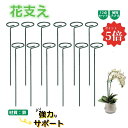 【12点セット】花支え 花ささえ 植物サポート 鉄製 強力なサポート 観葉支柱 誘引 支柱 支柱棚 フラワー支柱 40cm ガーデニング 農業用 園芸用 園芸支...
