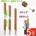 【ポイント5倍】【3本セット】【短納期】ココスティック モンステラ 支柱 おしゃれ 植物 支柱 ポトス 支柱 高さ調整可能 頑丈 耐久 ココナッツ 園芸支柱 植...