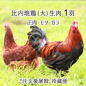 比内地鶏 雌 大型 1羽 生肉(正肉 約1.2kg・もつ 約150g・ガラ 約550g) 秋田県大仙市産 むね/もも/ささみ/せせり/手羽先/皮/ハツ/レバー/砂肝/ガラ他 送料無料