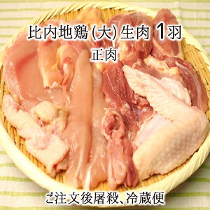 比内地鶏 雌 大型 1羽 生肉(正肉 約1.2kg) 秋田県大仙市産 むね/もも/ささみ/せせり/手羽先/皮/ぼんじり 送料無料