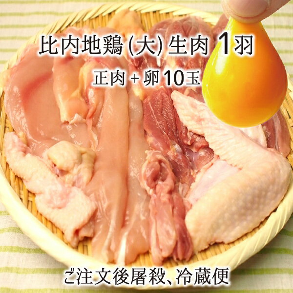 比内地鶏 肉&卵セット 大型1羽 生肉(正肉 約1.2kg) 卵 10玉 秋田県大仙市産 むね/もも/ささみ/せせり/手羽先/皮/ぼんじり 送料無料